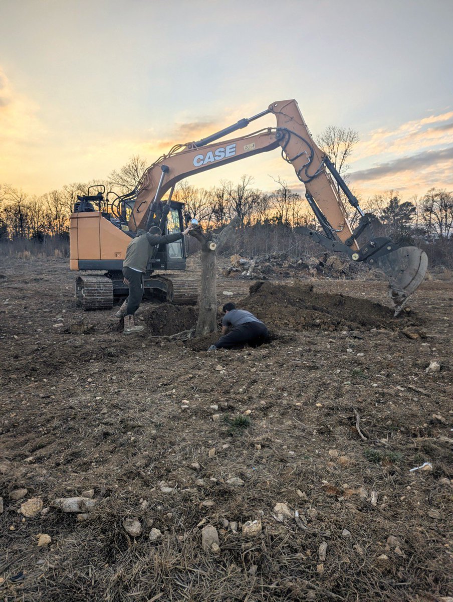 Return To The Land tweet media