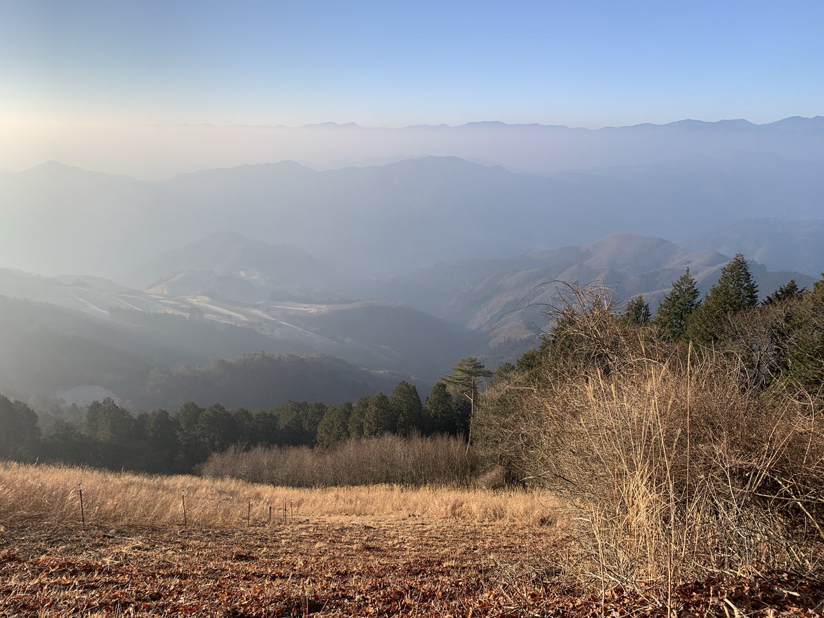 ウサギパンチ tweet media