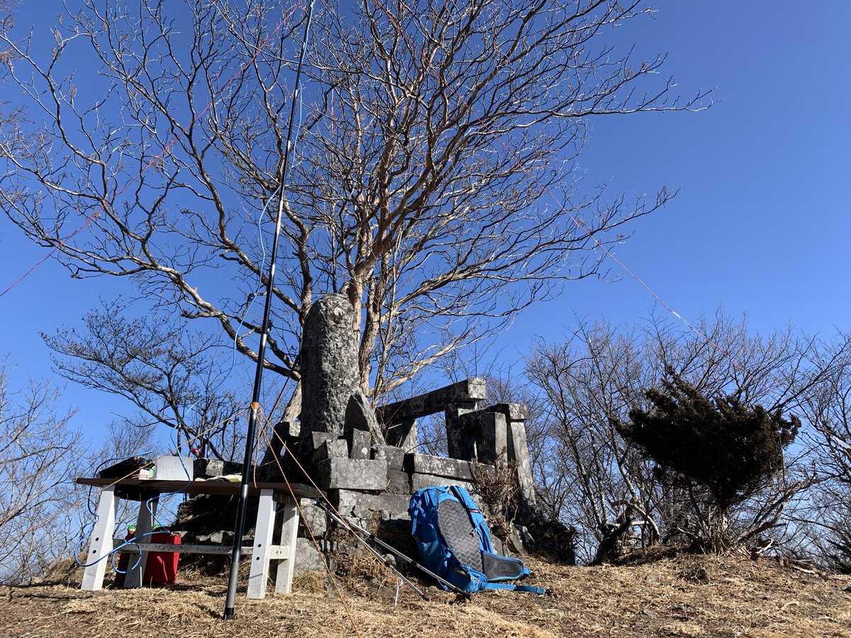 ウサギパンチ tweet media