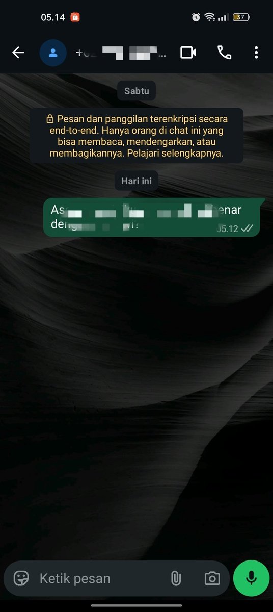 panpanbear tweet media