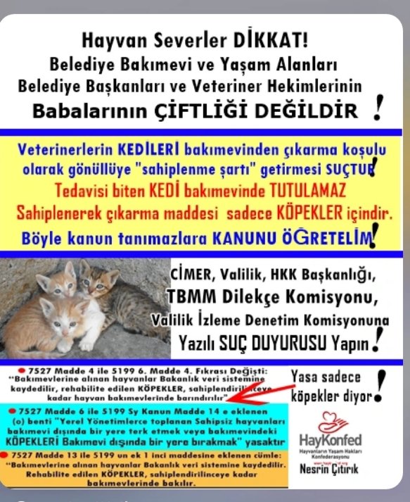 <a href="/NKansav/">Nükhet</a> <a href="/RedCrow08/">sevo</a> <a href="/ankarabbld/">Ankara Büyükşehir</a> <a href="/ankaragelisiyor/">Ankara Gelişiyor</a> <a href="/egobilgi/">EGO Genel Müdürlüğü</a> <a href="/abbbasin/">Ankara Büyükşehir Basın</a> <a href="/mansuryavas_en/">Mansur Yavaş (International)</a> <a href="/mansurbaskantr/">Mansur Yavaş TR</a> <a href="/chpankara1/">CHP Ankara İl Örgütü</a> <a href="/mehmet06592411/">Mehmet06</a> <a href="/KediKopek/">Siyah Kedili Adam</a> <a href="/cenkerenonline/">Cenk Eren</a>