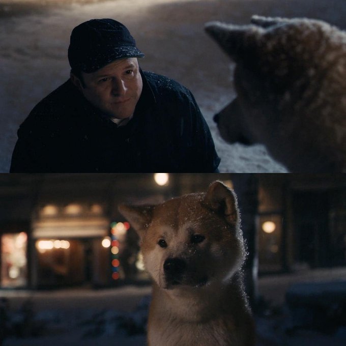 "Look, you don't have to wait anymore. He's not coming back."