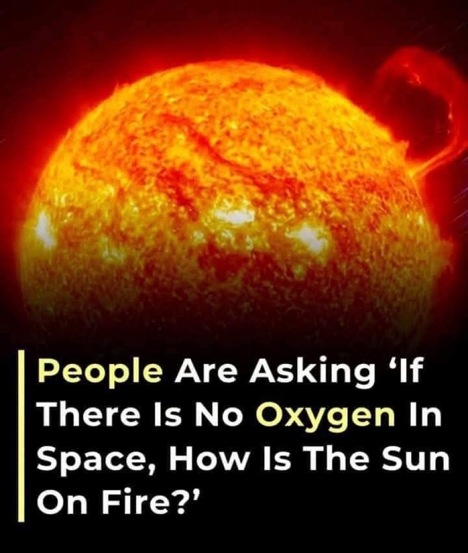 usdalit's tweet image. In India, people are asking, how the Sun make Kunthi pregnant ? 🤨

How?

These are called spiritual texts !!

#SanatanDharma 
#india