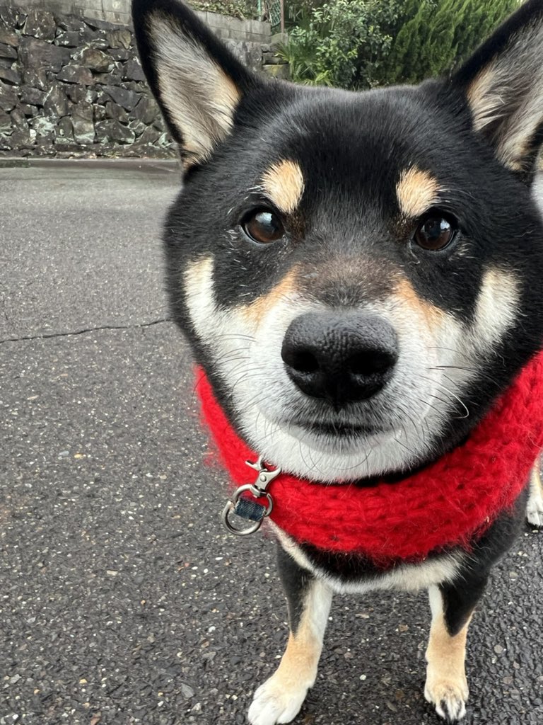 おはようございます☁️☂️