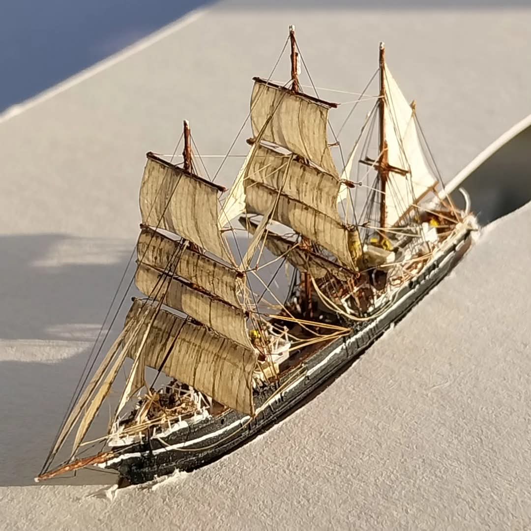 Colin Baxter tweet media