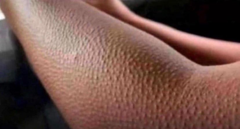 Nobody 

Me anytime Gyokeres scores: