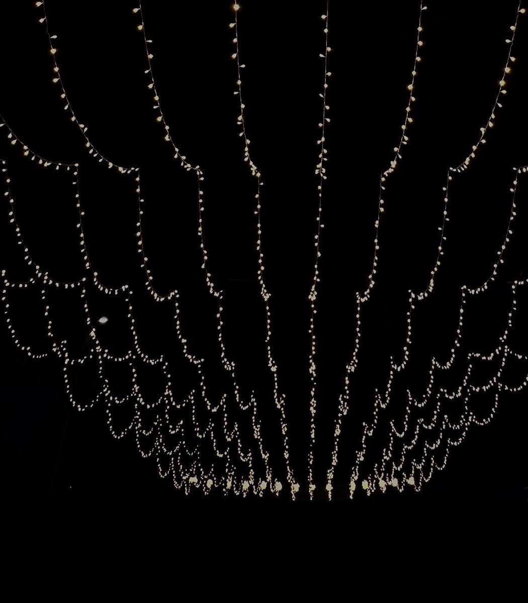 ☀︎︎ tweet media