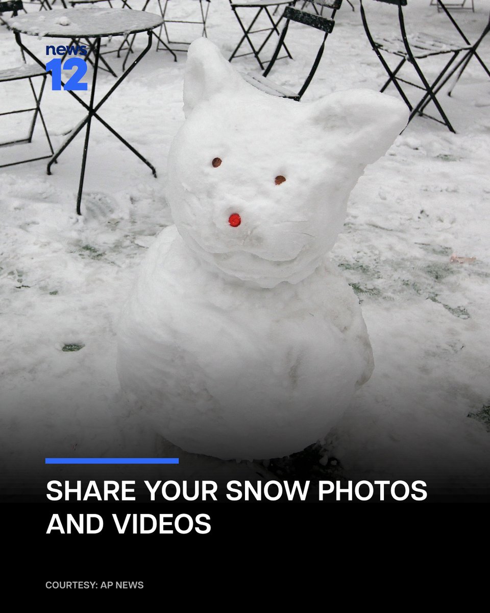 News12LI's tweet photo. ☃️ SNOW PICS! Want to send News 12 your snow photos and videos? Here's how to do it. 
 
Click the 🔗 to submit your pics and video. 

https://t.co/n4F8DIdAW5 👈🏼

#News12 #Snow #SnowPics #Weather #BlizzardWatch #TriStateWeather #LocalNews #LongIsland https://t.co/oZh9i5nLeO