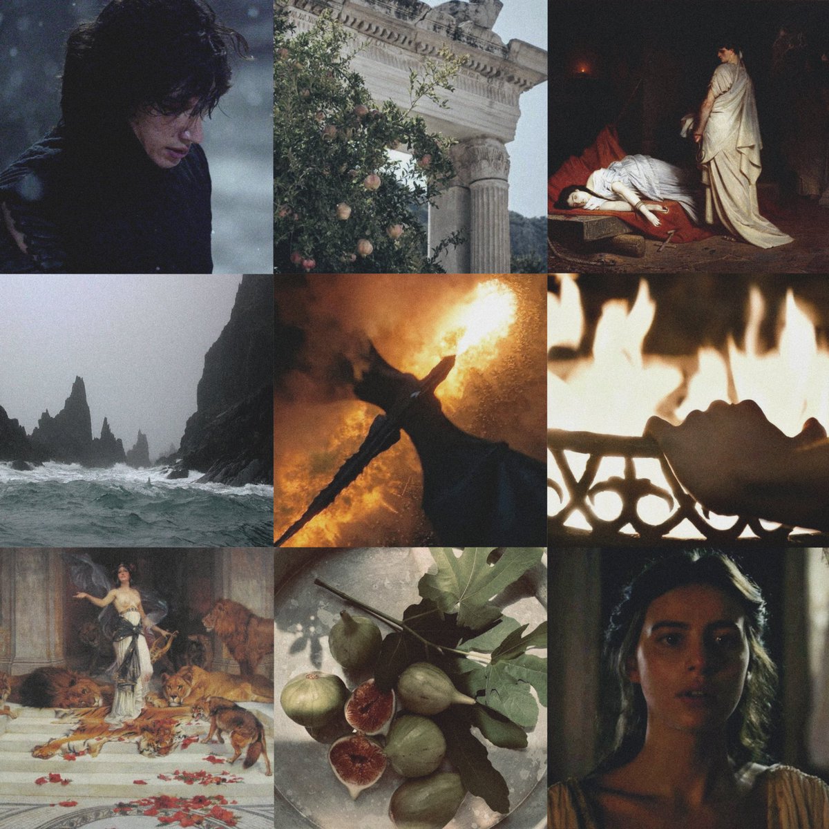 🇵🇸shep🏳️‍⚧️ is agented tweet media