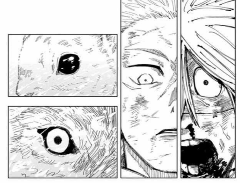 the art                                           the reference 