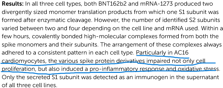 sborg40's tweet photo. New article finding the evidence of covidvax tageting cardiomyocytes.Another reason mRNA vax technology is dangerous for many and should never had been used in massvax.
https://t.co/v7gpO5FBVC https://t.co/bnr2U7IbzU