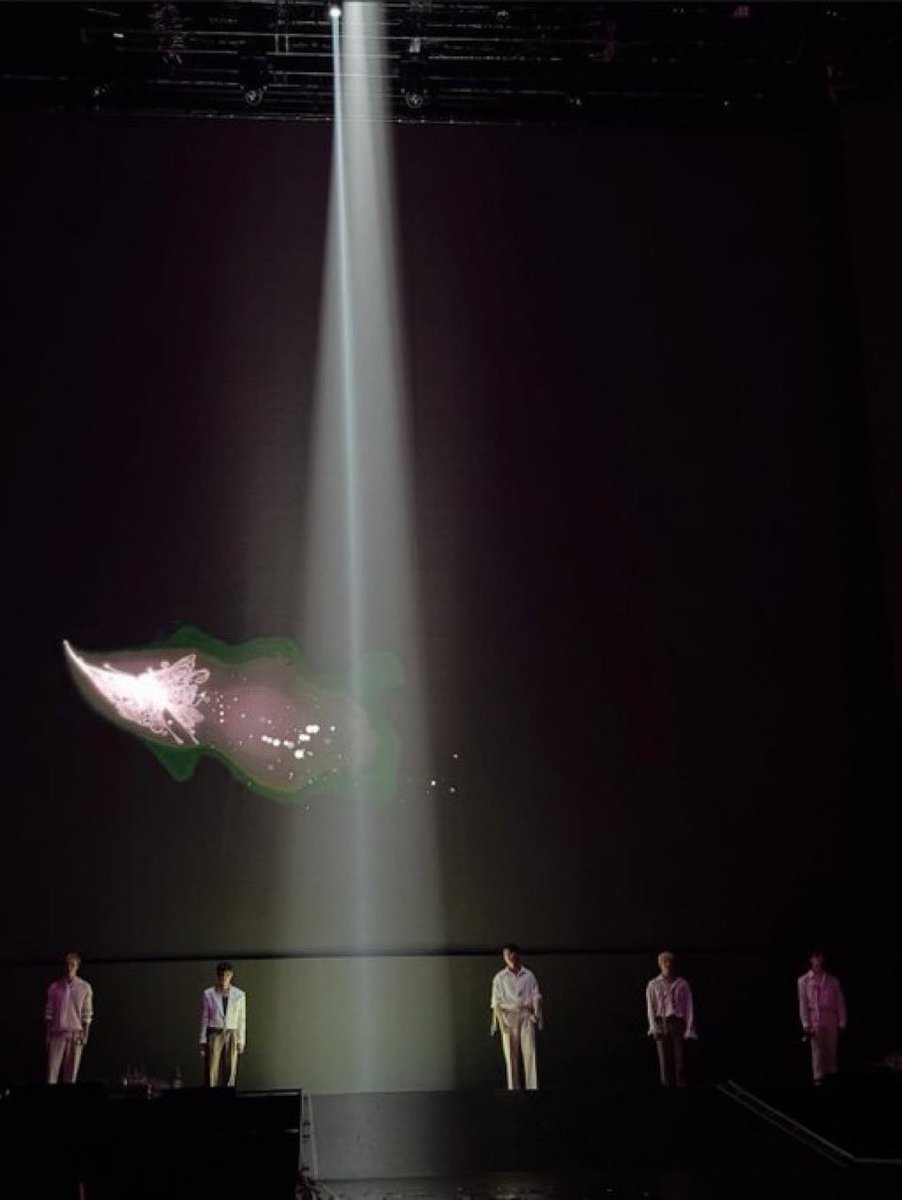 파초라 파초라💎 tweet media