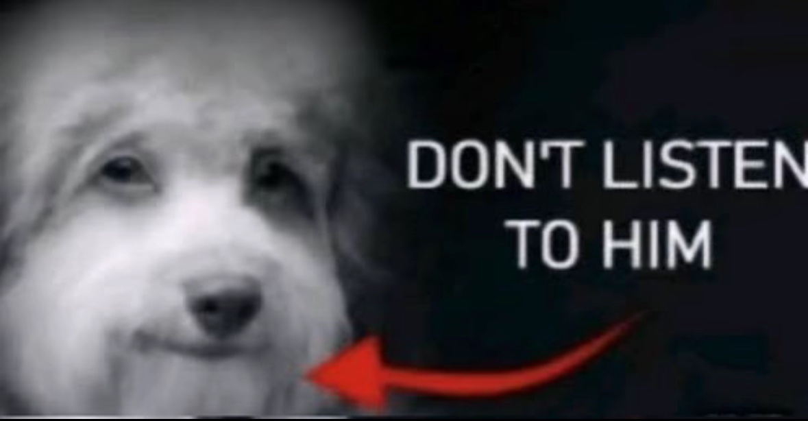 Mic of Time: A Different Path tweet media