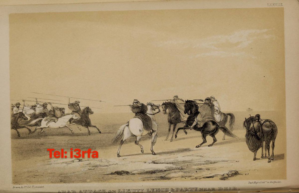 مزهاف tweet media