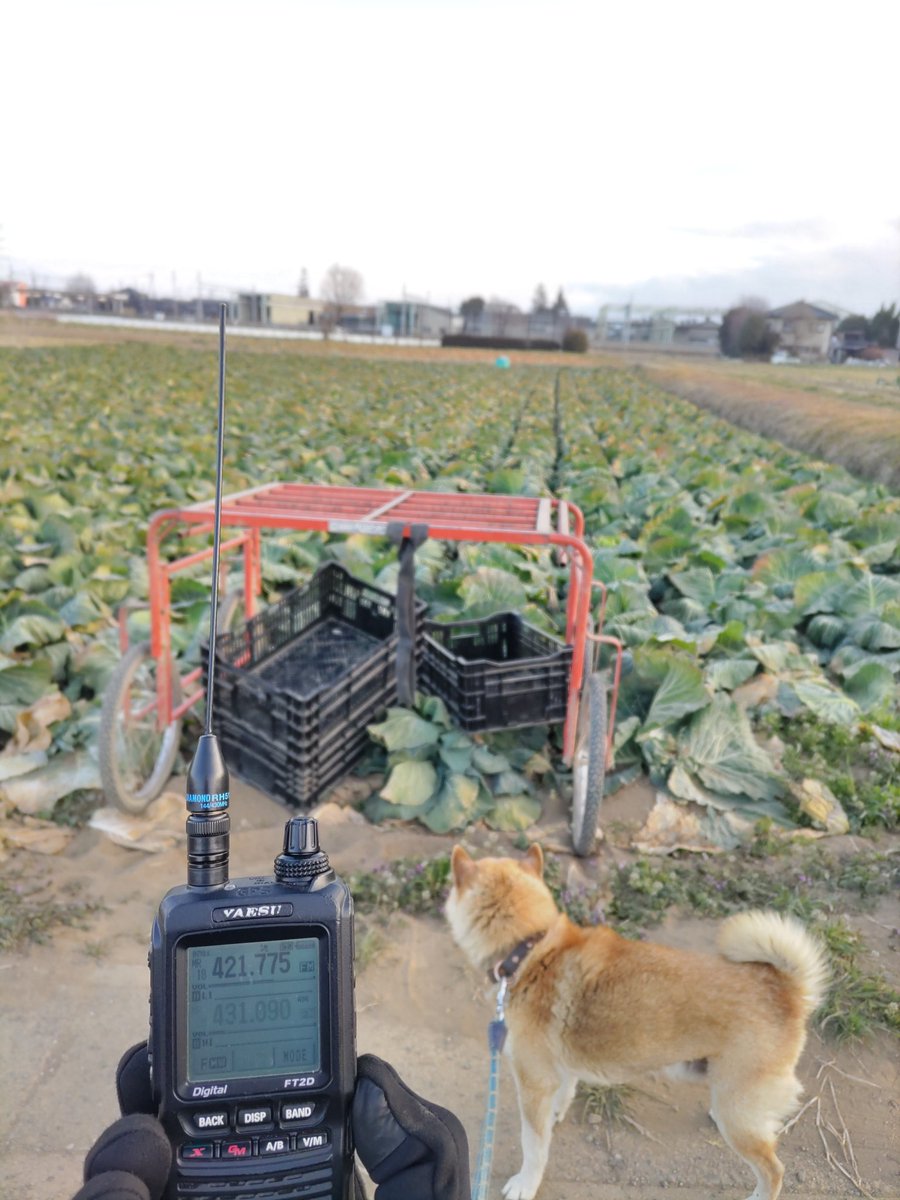 おはようございます〜 本日もよろしくお願いします🙇‍♀️ さぁ