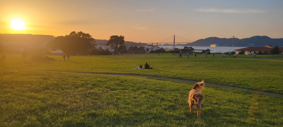 Alex Grant tweet media