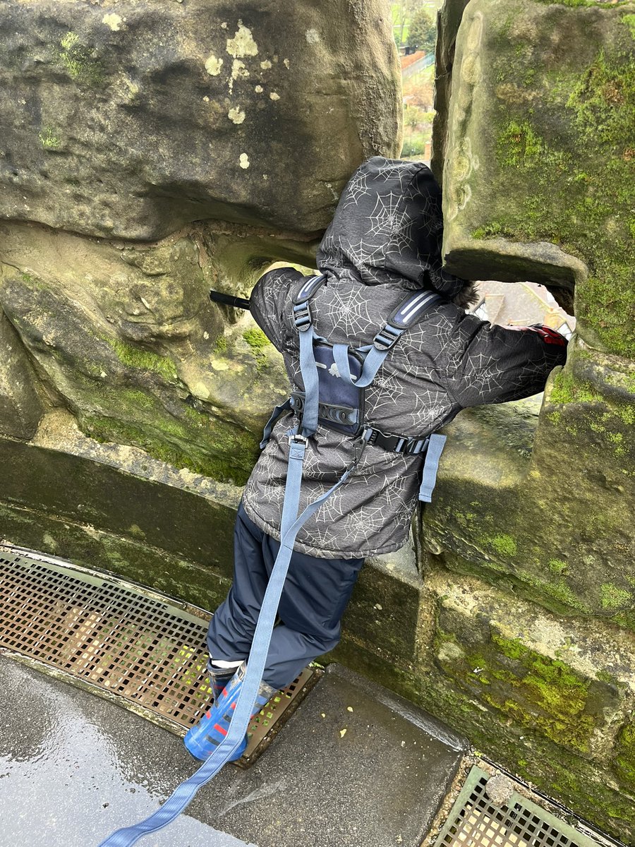 Martin Hall tweet media