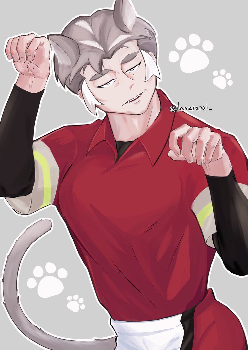 ねこのひでした