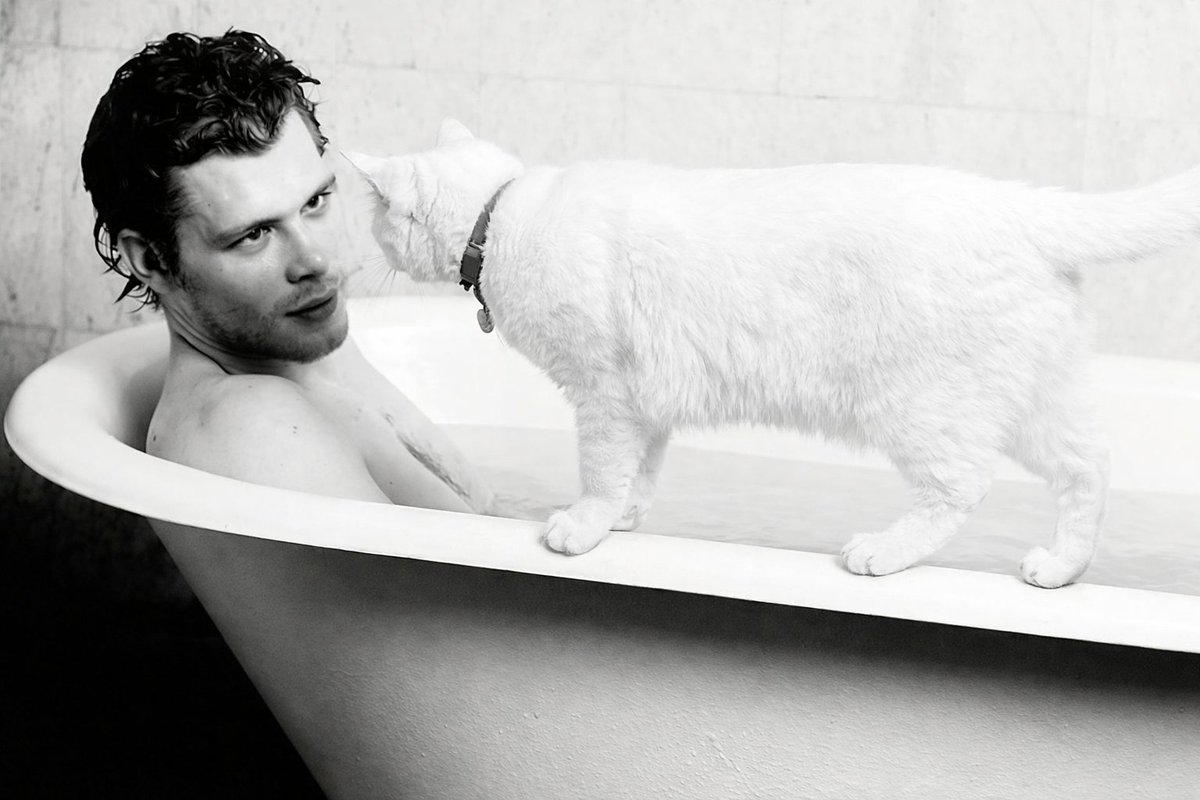 ANGEL |parody| ♡ tweet media