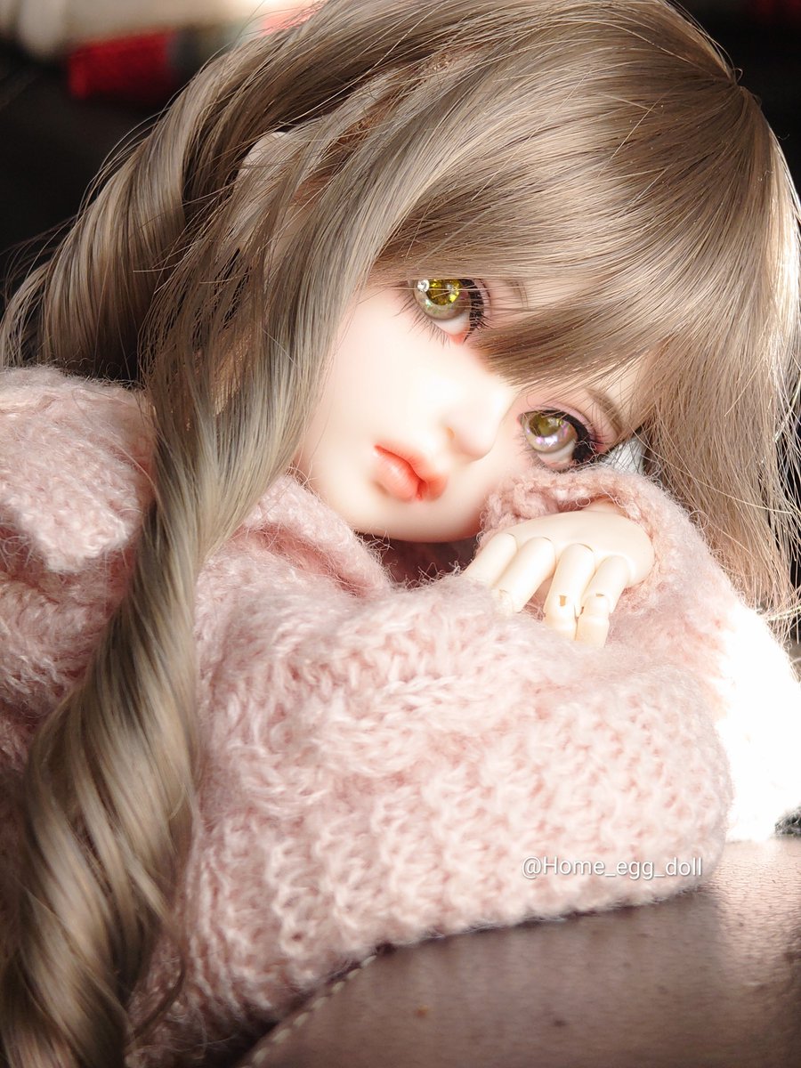 ほーむ (@home_egg_doll) on Twitter photo 