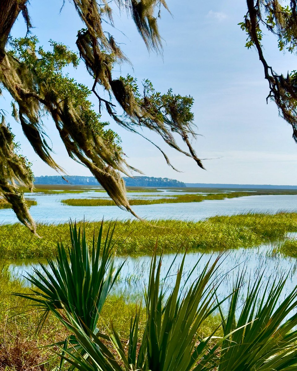There’s a specific kind of quiet you only find on the edge of a Bluffton bluff. 🌿

Start planning your trip to the Lowcountry here: bit.ly/46IO6Du

📷 IG: thislowcountrylife