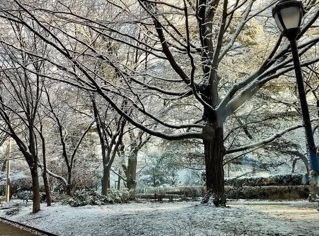 Jefferson Health – Northeast tweet media