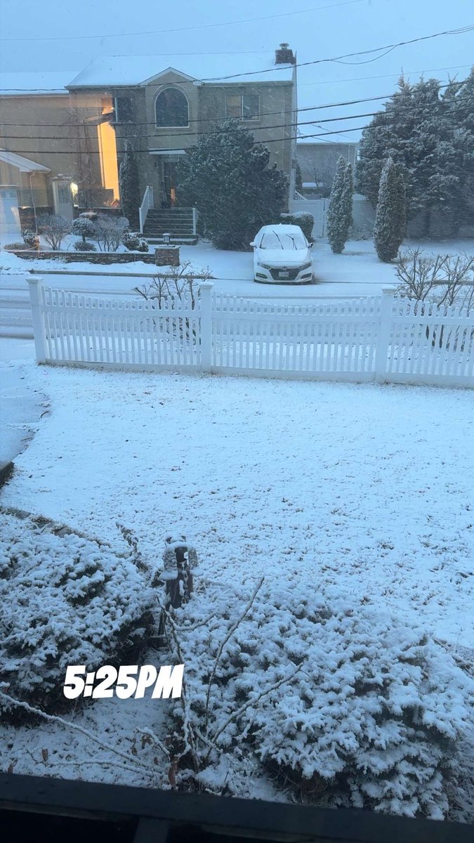 Mal 🍌🦋 tweet media