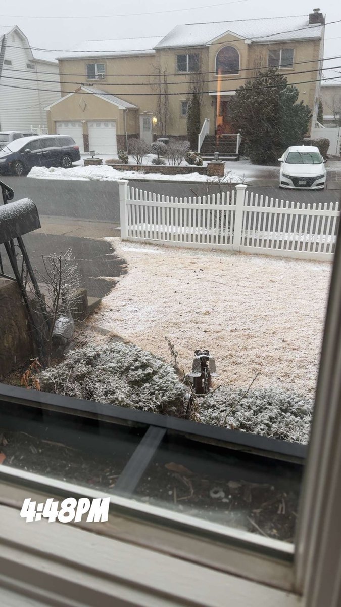 Mal 🍌🦋 tweet media