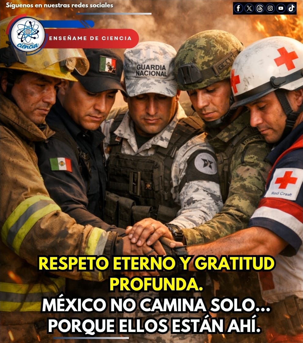 Entre humo, fuego, tensión y miedo, hubo quienes no retrocedieron. Mientras muchos buscaban resguardarse, ellos avanzaron.
Mientras las calles se llenaban de incertidumbre, ellos se llenaron de valor.

Bomberos entrando donde nadie queria  entrar. Policías sosteniendo el orden en