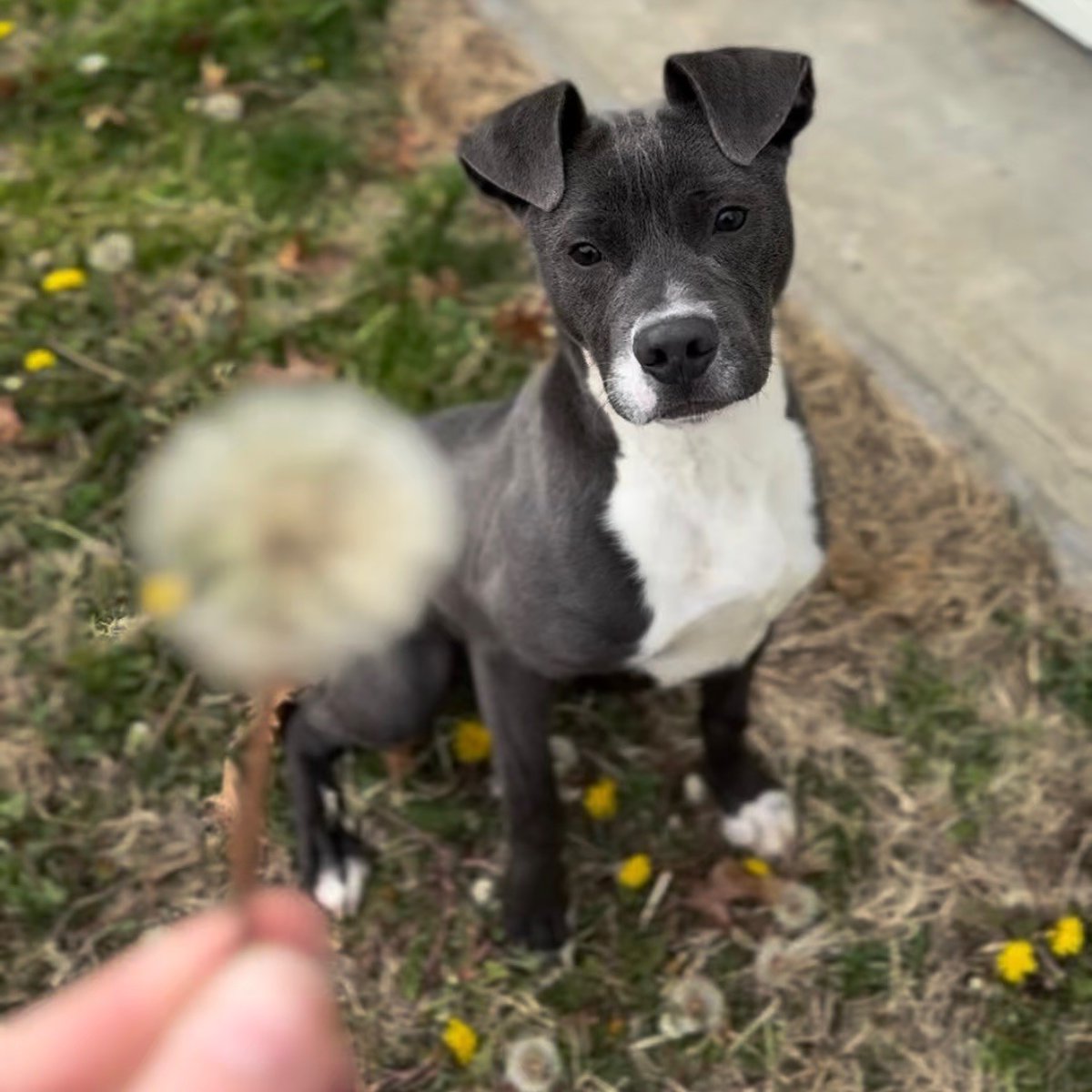 Cumberland County, NC Government tweet media