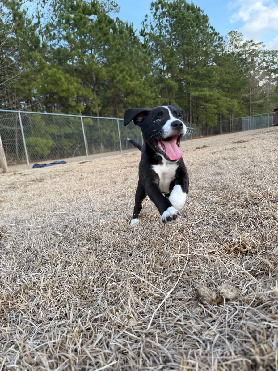 Cumberland County, NC Government tweet media