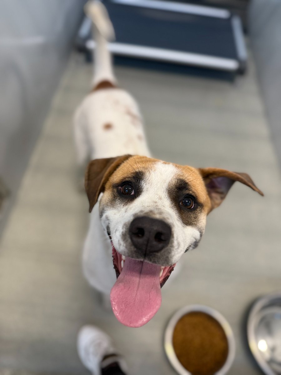 Cumberland County, NC Government tweet media