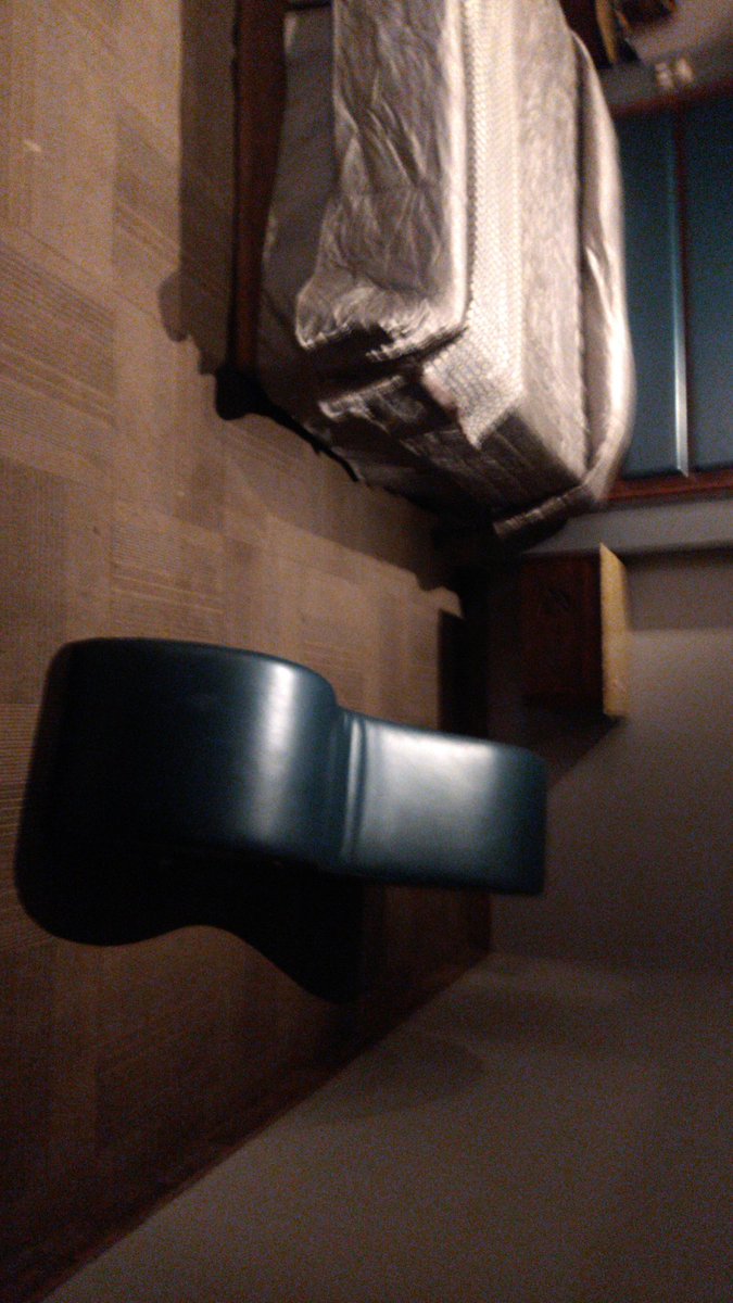 Sofia aldama tweet media