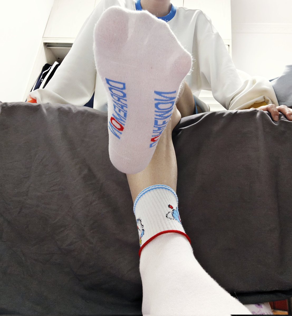 伯恩山的小凡 tweet media