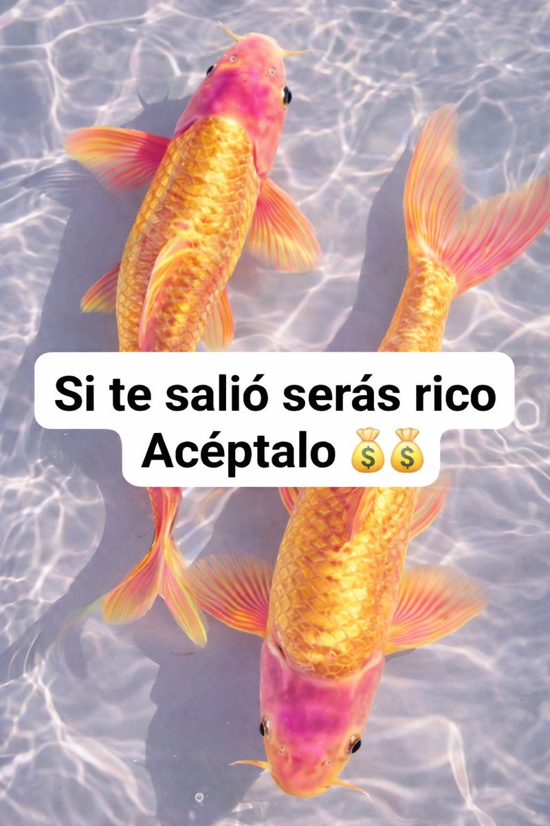 PensamientosX0's tweet photo. 💚🍀💚 https://t.co/Jsob4GJbrP