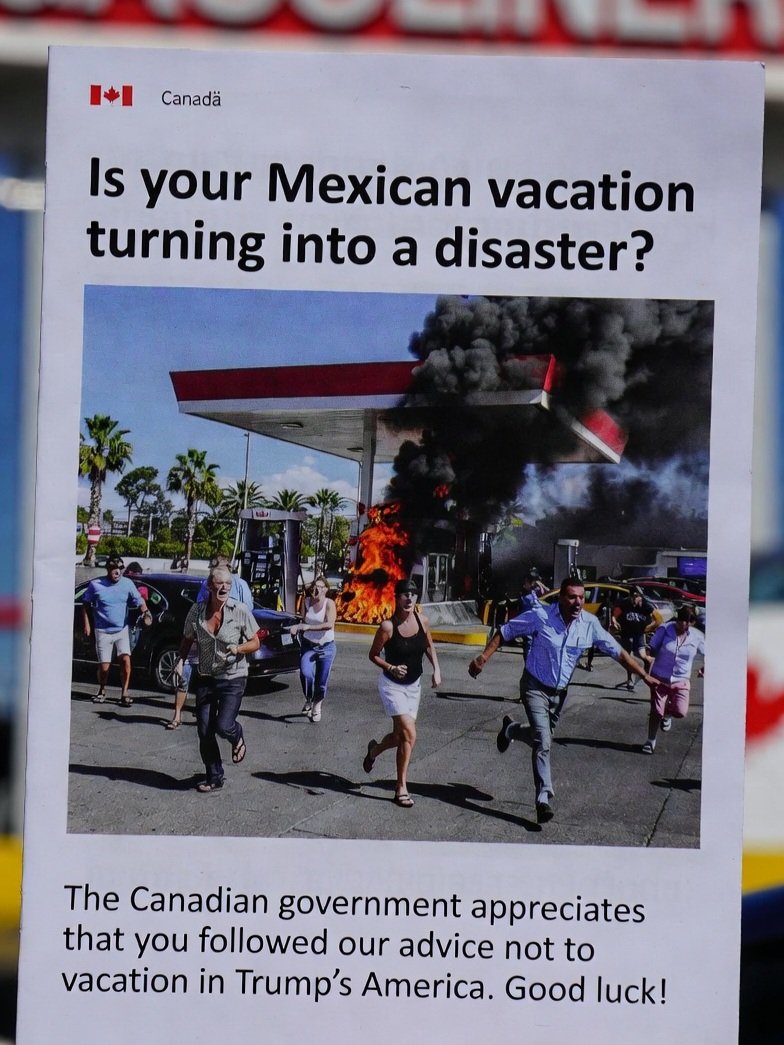 The Sarcasticat tweet media