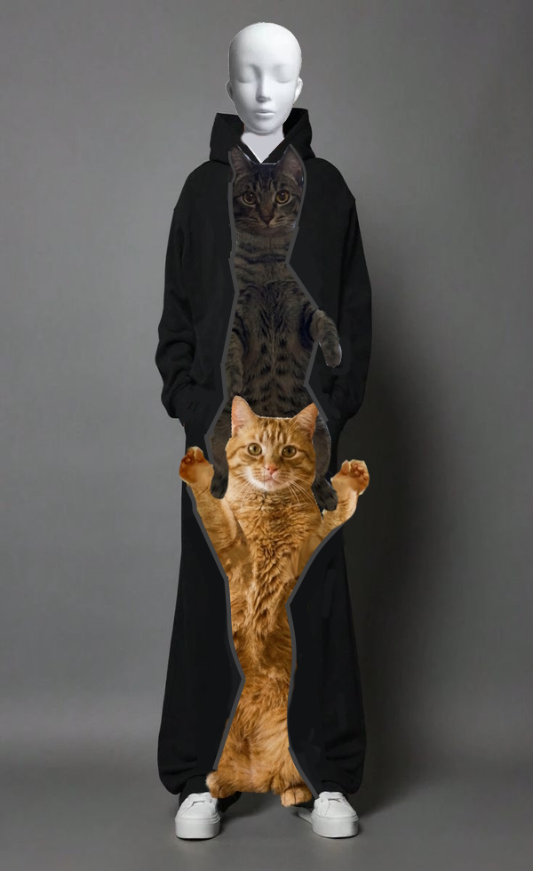 BadAsh0909 tweet media