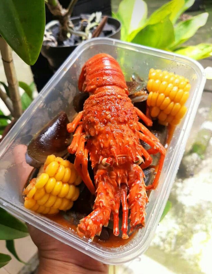 olobersykes tweet media