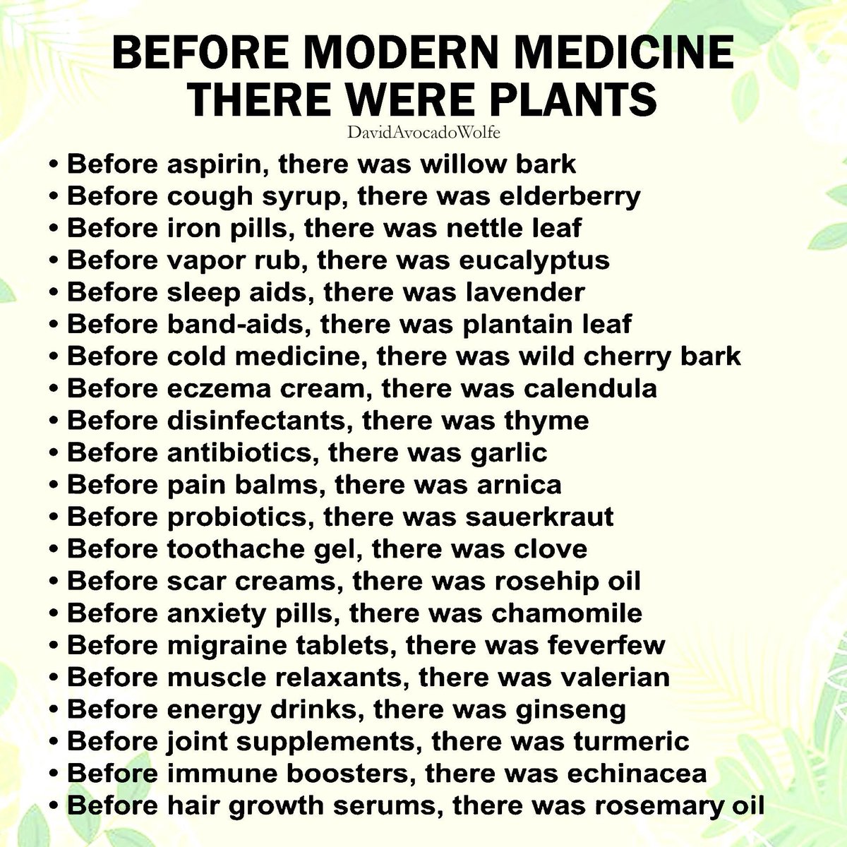 DavidWolfe's tweet image. 