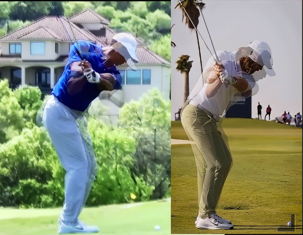 Brian Manzella tweet media