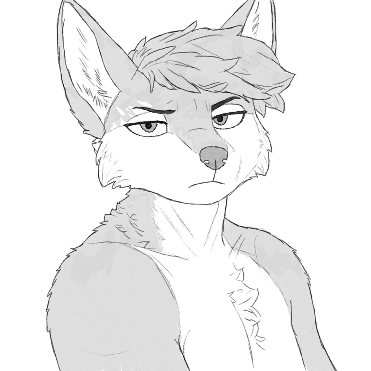 Sopwall (COMMS OPEN) tweet media