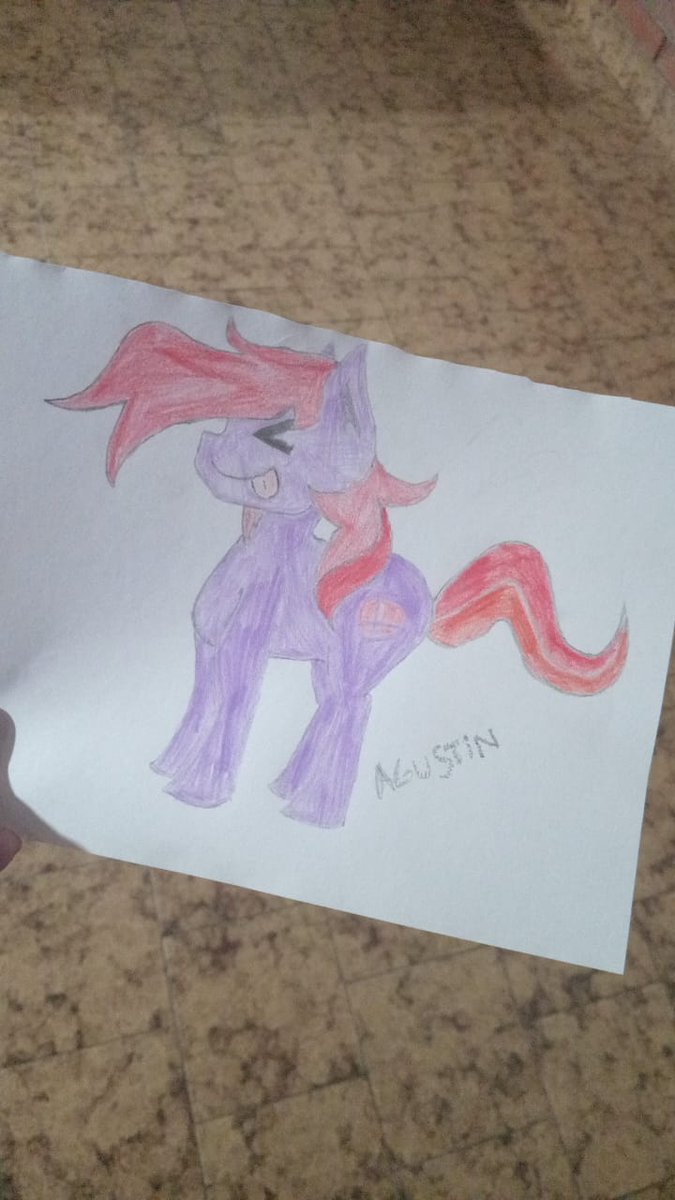 Smashu 🐬 tweet media