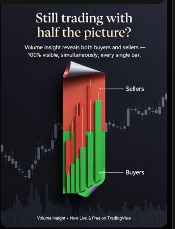 Steve 🇦🇺 tweet media