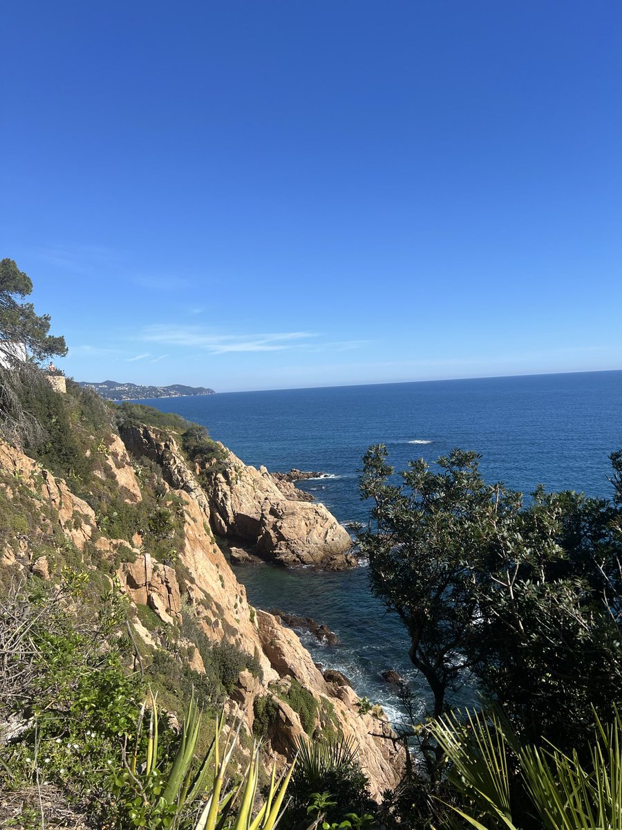 Matt Lucero tweet media