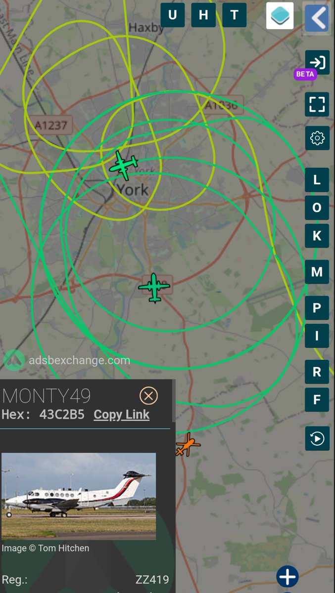 Brit-ish tweet media