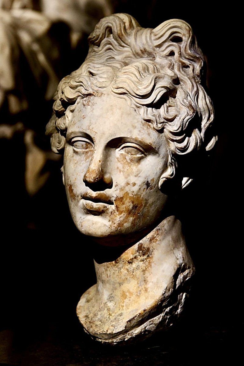 "Aphrodite" 
Marble.  
The quiet breath of eternal beauty. 🏛️🌹