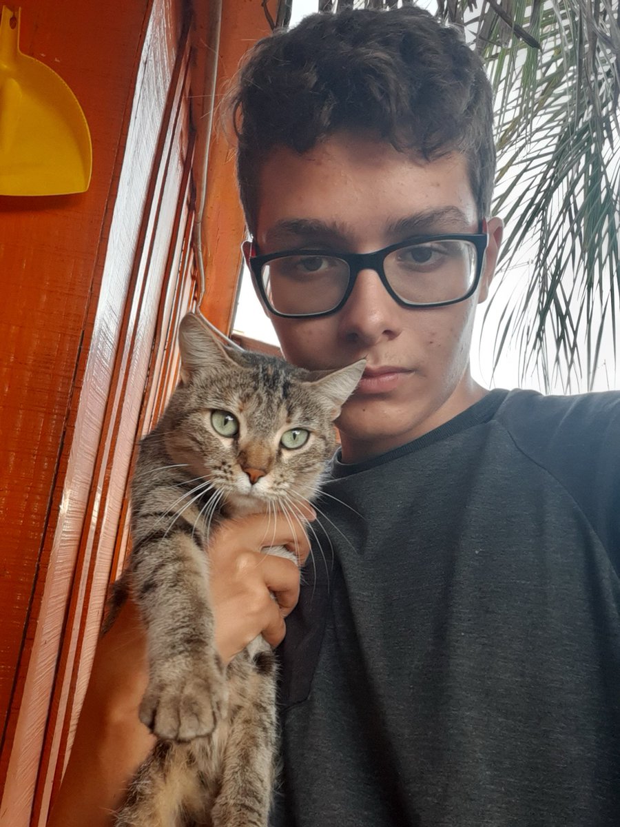 josé tweet media
