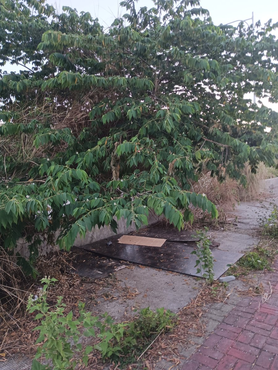 Tito RED👿 tweet media