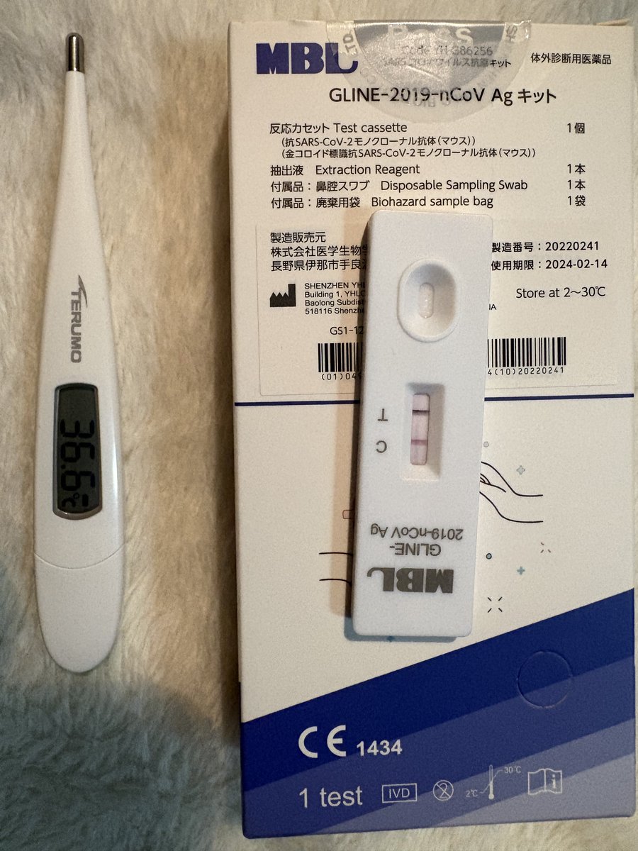 ラグ【桜 健太】 tweet media