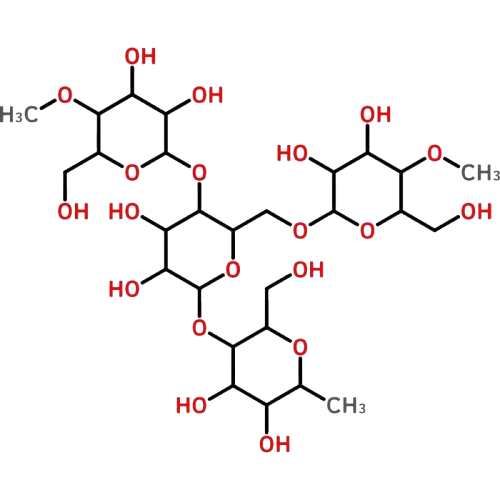 Stαrfish⭐ tweet media